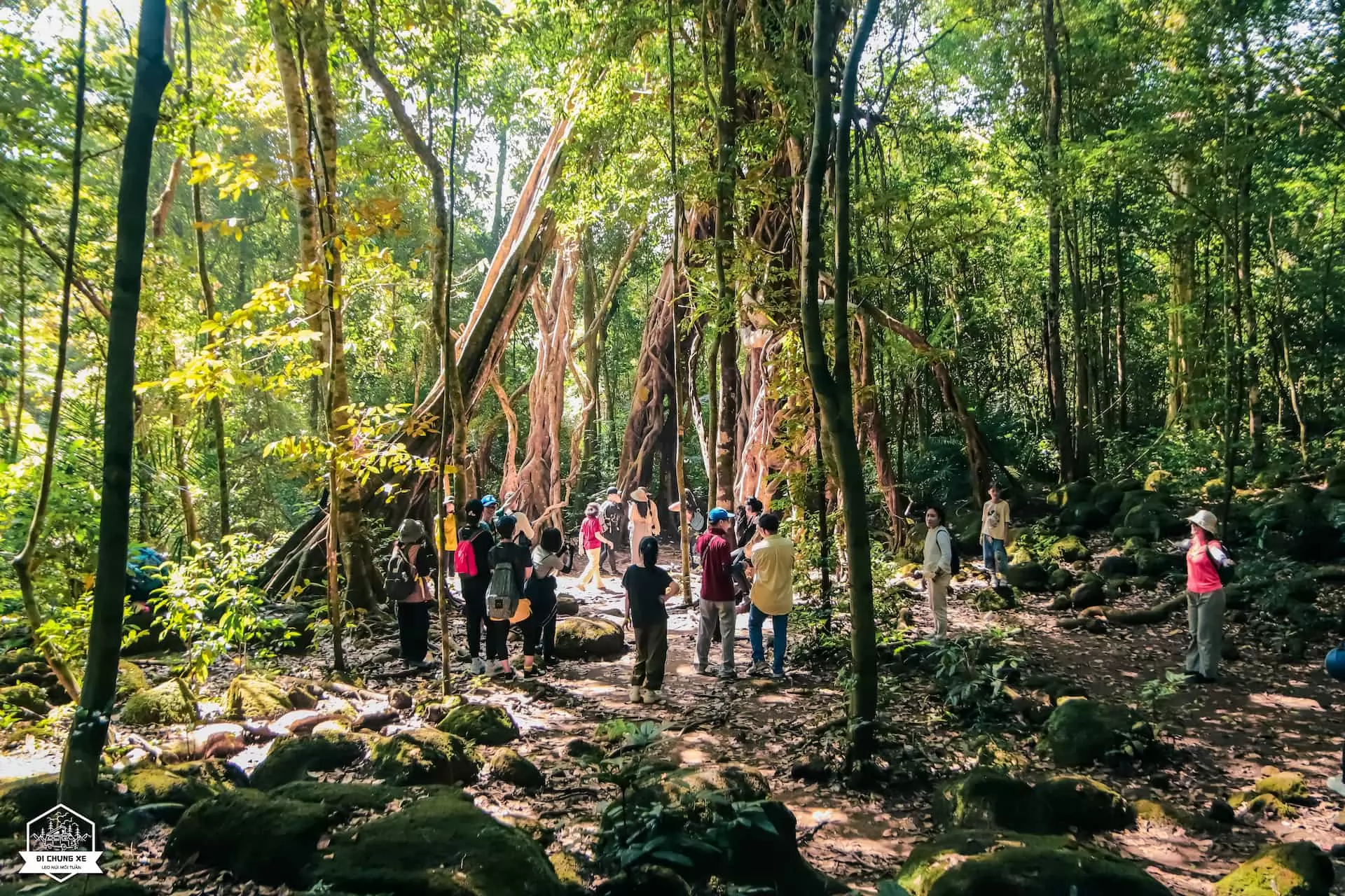 VQG Nam Cát Tiên - Khu dự trữ sinh quyển thế giới